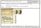 Karteikarte zum Lectotyp von Polymorphina ampla Karrer, 1870